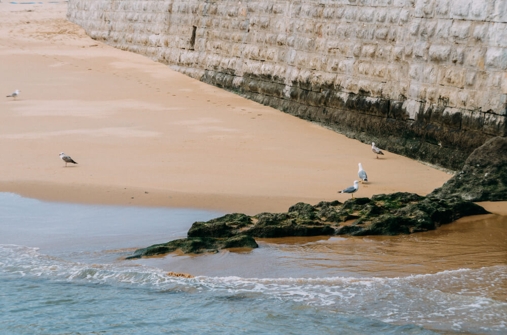 Iconic Surf Spots in New Zealand